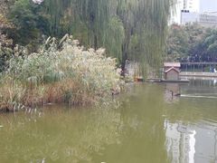 -徐家汇源景区-衡山坊