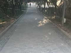 -西安市长乐公园