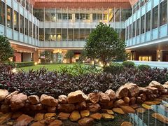 -香港大学