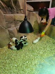 -宝燕乐园(闵行旗舰店)