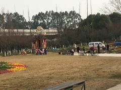 -秀丽东方