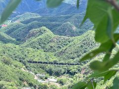 -大岭沟猕猴桃谷风景区