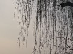 -迎泽公园