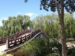 -大兴滨河森林公园