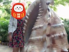 -亚龙湾海底世界