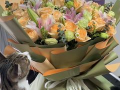 -烛影拾光观景餐厅·创意菜·摄影·小提琴(大唐不夜城店)