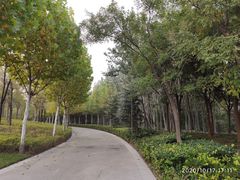 -郑东新区龙湖公共艺术中心
