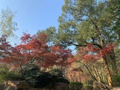 -岳麓山风景名胜区