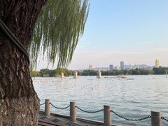 -济南大明湖景区