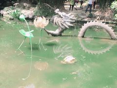 -汇龙潭