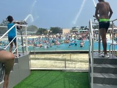 -秦皇岛乐岛海洋王国