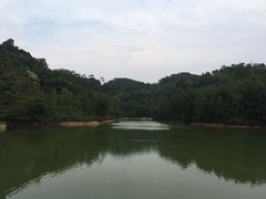 -中山市树木园