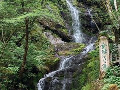 -炎陵县神农谷国家森林公园