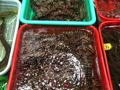 -都斛海鲜街
