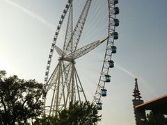 摩天轮下边过山车-哈尔滨文化公园