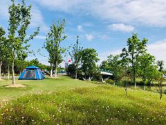 -上海长兴岛郊野公园