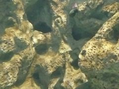 -临沂极地海洋王国
