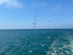 -海驴岛(荣成市)