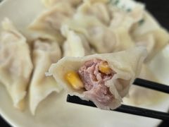 -东北农业大学饺子园