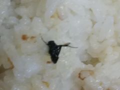 -都城壹族快餐(第66分店)