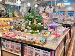 -猫的天空之城概念书店(束河店)