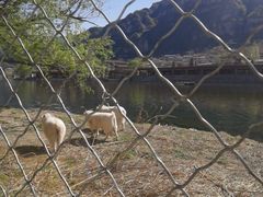 -十渡东湖港风景区