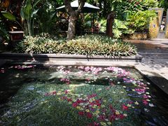 -厦门日月谷温泉渡假村