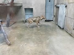 -西安秦岭野生动物园