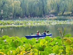-WhaleSports户外水上运动俱乐部(朝阳公园店)