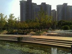 -新江湾城公园