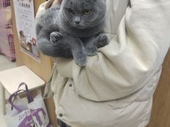 -爱侣宠医·鹦鹉专科·小型哺乳类·异宠专科(灵石路店)