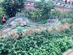 -南宫五洲植物乐园