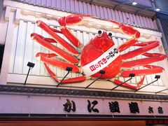 -蟹道乐(道顿堀本店)