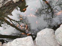 -恭王府博物馆