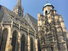 -斯蒂芬主教座堂(Stephansdom)