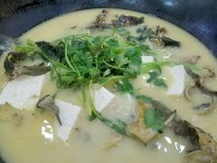 岩骨鱼-岩泊渡桂鱼楼活鱼馆