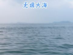 -杨梅坑