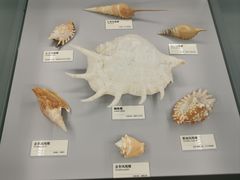 -天津古林古海岸遗迹博物馆
