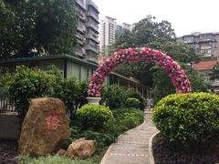 -东风公园