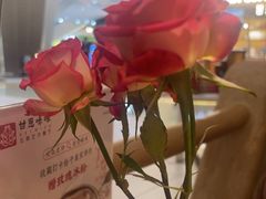 -甘思咪哚·云南艺术餐厅(天河广百店)