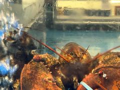 -麦德龙(郑东店)