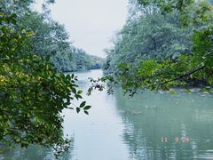 -白马涧龙池景区