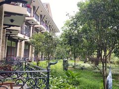 -森波拉火山温泉