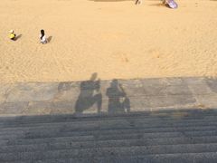 -日照海滨国家森林公园
