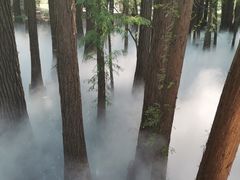 -东湖落雁景区