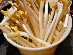 -一斗火锅·招财羊毛肚(北温泉九号店)