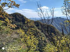 -王顺山国家森林公园