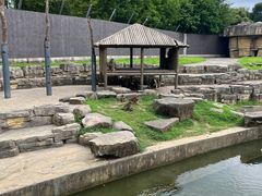 -苏州上方山国家森林公园