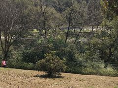 -中国美术学院象山校区-民艺博物馆