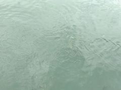 -古尚锦酒楼·水上餐厅